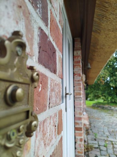 Kernsaniertes Bauerhaus unter Reet auf naturnahem Grundstück in Feldrandlage – Detail