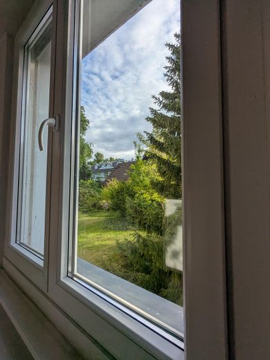Blick in den Garten