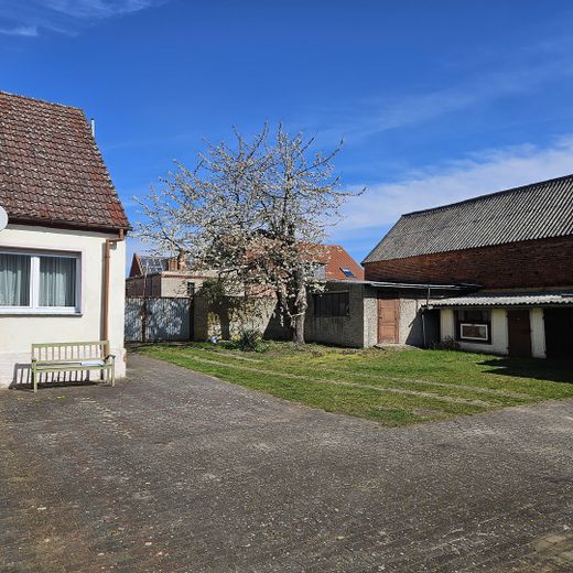 Hofanlage mit Wohnhaus, Scheune & ca. 5.000 m² Land – provisionsfrei – Straße mit Blütenbaum