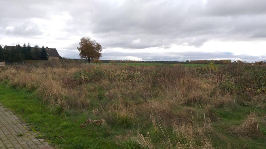Wegen Auswanderung: 2.270m2 Bau-Grundstück bei Greifswald / Ostsee – 20241104_125733