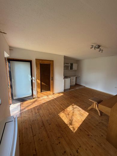 Wohnung im Grünen mit Garten und Hobby-Schrauberwerkstatt – Wohnzimmer