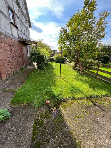 Gartenansicht von Kellertür