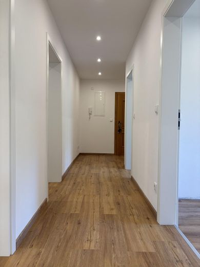 Frisch modernisierte 3-Zimmer-Wohnung mit Loggia – sofort bezugsfrei und Provisionsfrei – Flur mit Blick zur Wohnungstür