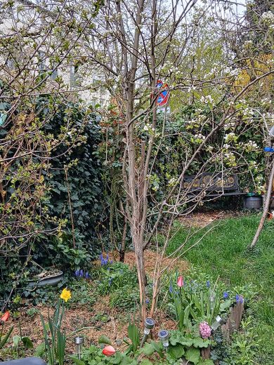Ruhige Erdgeschosswohnung mit einmaligem Garten in zentraler Lage in der Unterwiehre – Foto 24