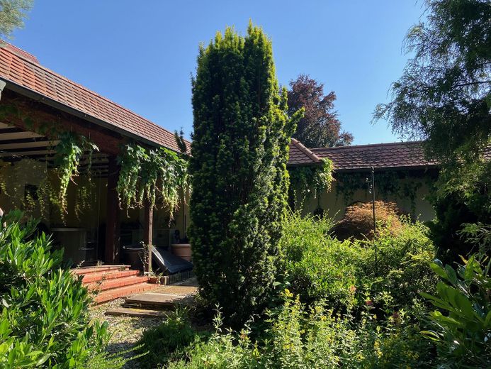 Gartenimpressionen