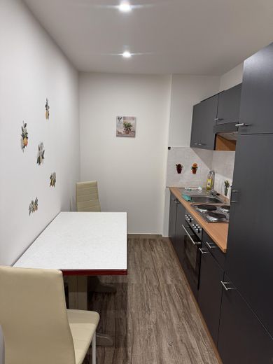 (Studenten)Wohnung im UG ab Oktober frei- möbliert, in einem 2-Familienhaus – Foto 6