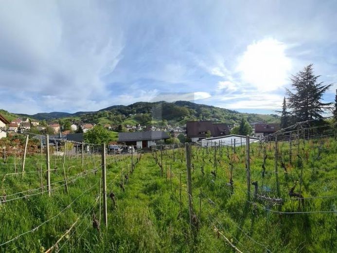 UITZICHT & LEVENSKWALITEIT – Foto 1