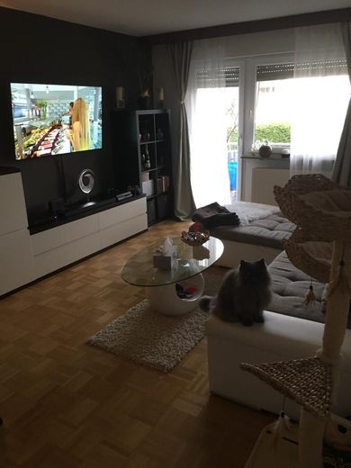 Wohnung 2,5 Zimmer – Wohnzimmer-Blick v. WZ-Eingang