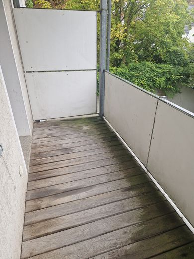 Newly renovated/refurbished, bright two-room apartment with a quiet southwest-facing balcony in Stadtfeld-Ost – Balkon