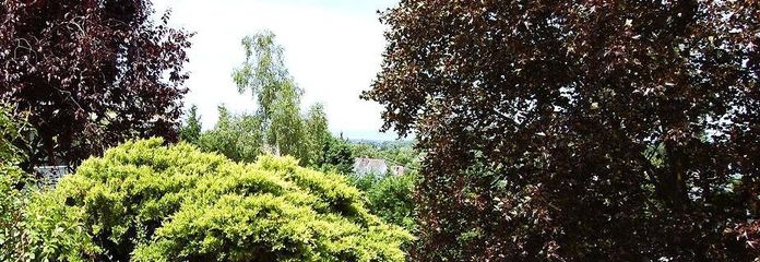 Südwest-Ausblick Titel