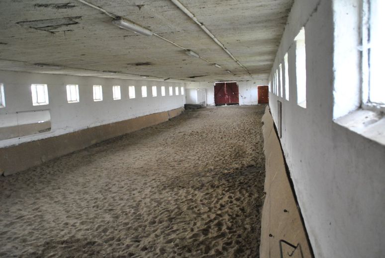 Marlow-OT, Reitanlage + Blockhütten in Ostseenähe – Foto 16