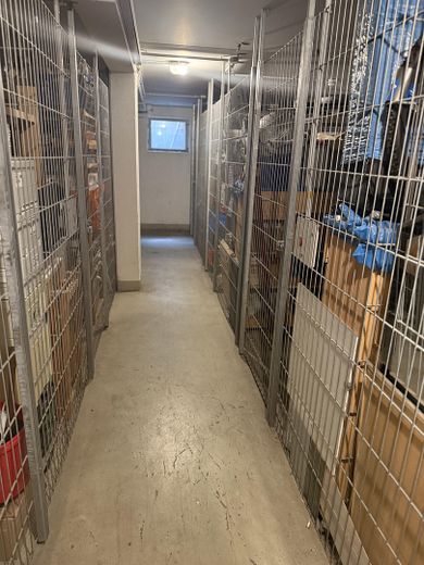 Wohnung 2,5 Zimmer 55 qm kernsaniert Provisionsfrei – Keller