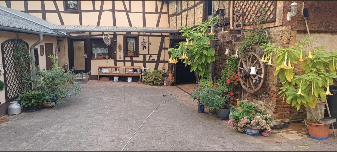 Bauernhaus mit großem Grundstück / Garten – Innenhof
