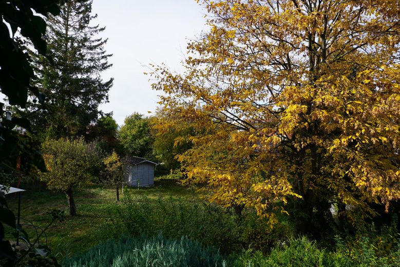 Großzügiger Garten