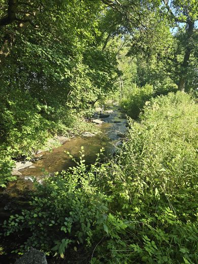Historisches Fachwerkhaus mit drei Eigentumswohnungen – Bachlauf am Garten