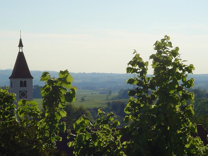 Fernblick 