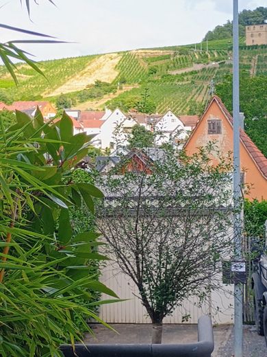Sonnige 3-Zimmerwohnung mit Garten und Blick auf die Weinberge – Blick von Terrasse4 Süd