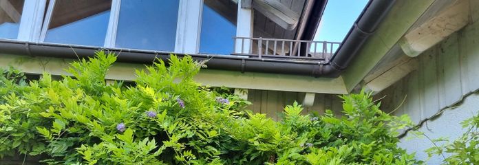 Ammersee West Shore