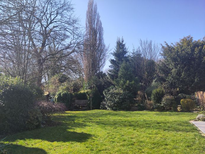 Einfamilienwohnhaus in Schwerte Westhofen (energetisch saniert) – Gartenansicht Herbst