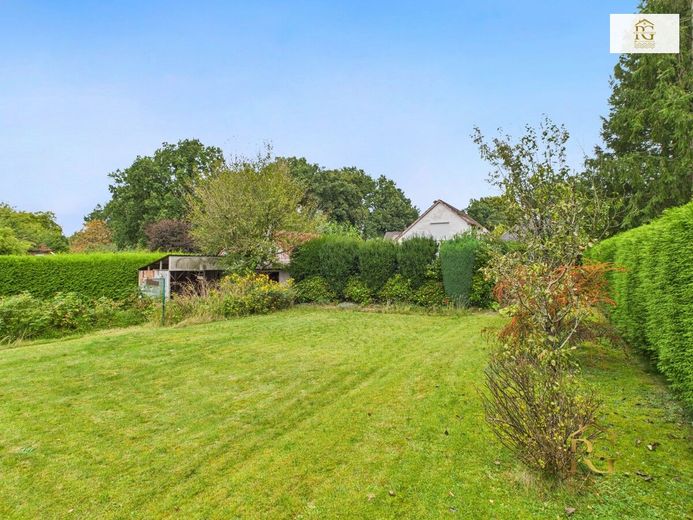Blick in den Garten