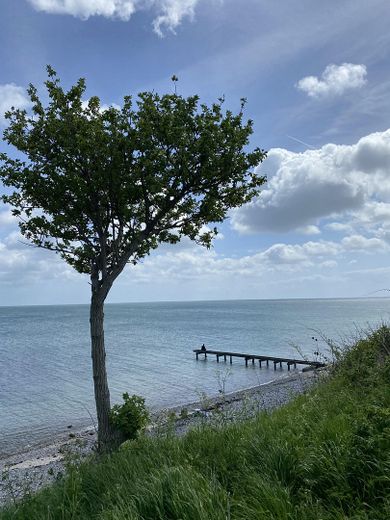 Ferienwohnung mit Garten auf Fehmarn – 300 m zur Ostsee, 25.000 € Jahresumsatz – Foto 7
