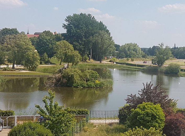PREISSENKUNG! Letzte Chance für Eigennutzer - Stadthaus am Schwanenteich - provisionsfrei! – Blick auf den Schwanenteich