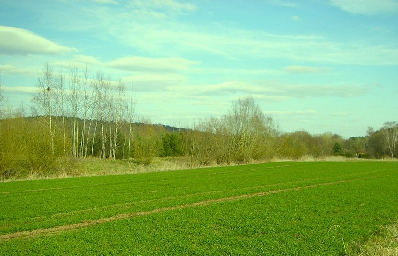 Umgebung
