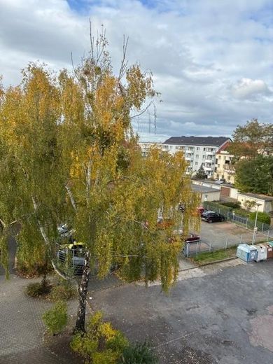 Blick aus dem Fenster