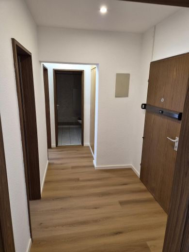 Erlangen-Frauenaurach’ta ankastre mutfaklı, yeni yenilenmiş 2 odalı daire – Flur