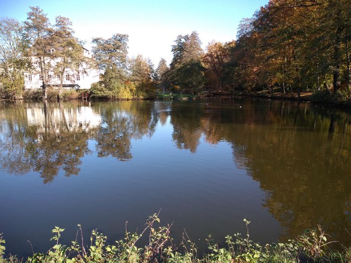 Park mit Herrenhaus