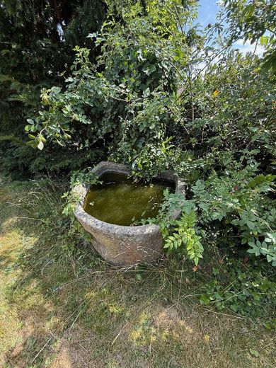 Viel Raum zum Leben: Riesige Landhausvilla in Neuhof/Fulda! – Gartenimpression
