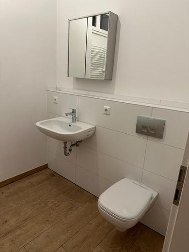 Helle Altbau-Stadtvilla 3-Zimmer-Erdgeschosswohnung inkl. moderner Einbauküche, Stadtzentrum – Bad I