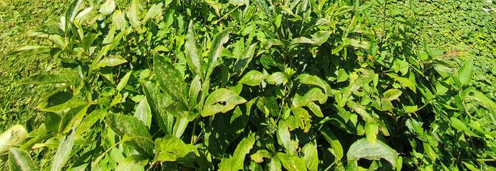 Topographie Hang & Ebene 