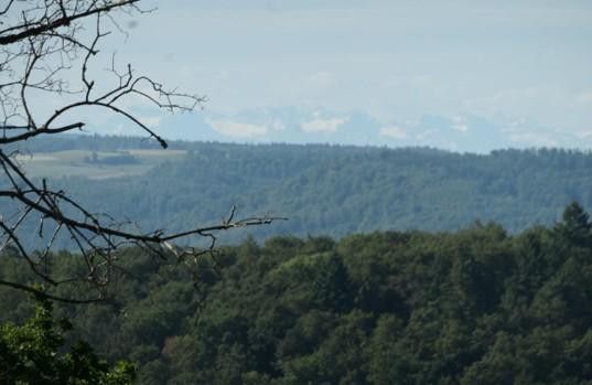 Wohung an herrlicher Waldrandlage – Aussicht Schweizer Berge