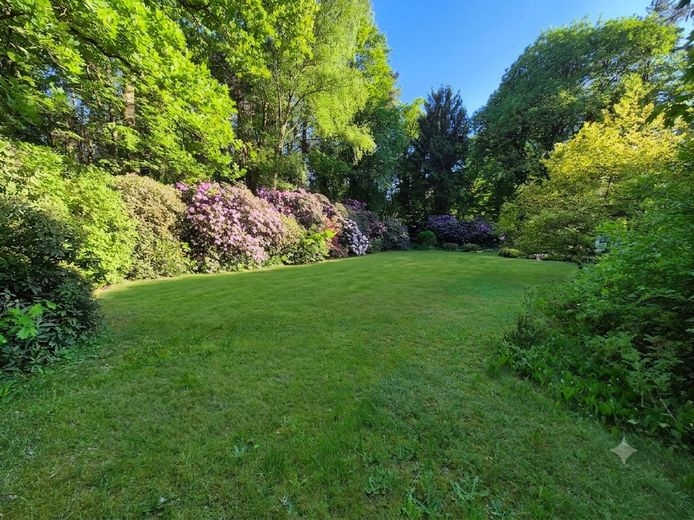 ​🌿 Senza provvigione: proprietà da sogno su terreno boschivo di 5.000 m² incl. appartamento per il custode – Foto 5