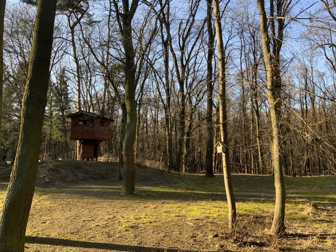 Baumhaus, Wald,Wiese