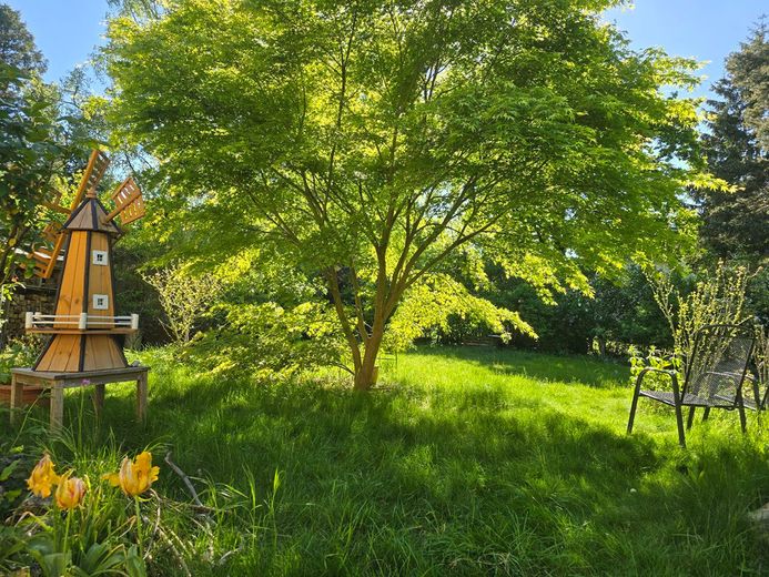 Wohnen mit Garten und Gemeinschaft in Duisburg-Wedau – फोटो 11