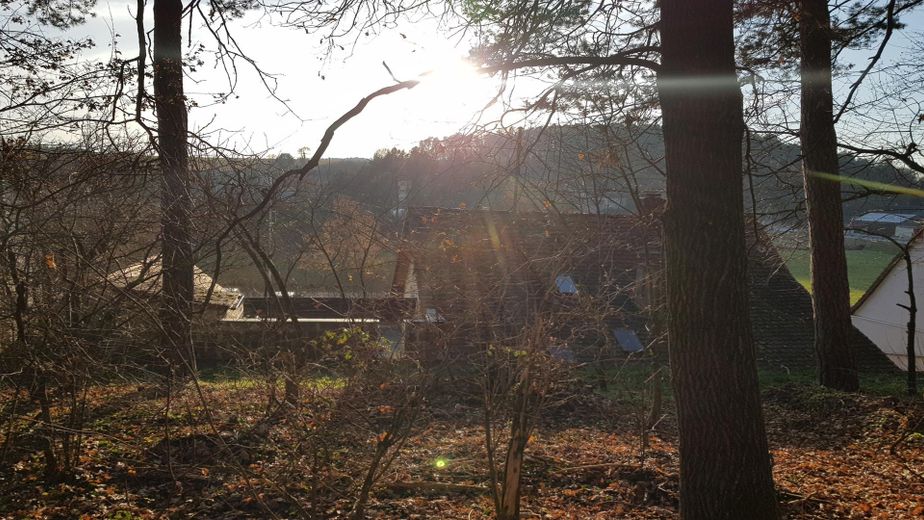 Blick aus angr.Wald z.Terrasse