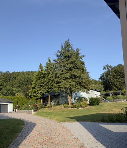 Bungalow m. Einliegerwohnung – Foto 7
