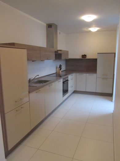 Exklusive Penthouse-Wohnung im Passivhaus – Einbauküche