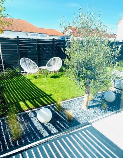 2. Olivenbaum im Garten