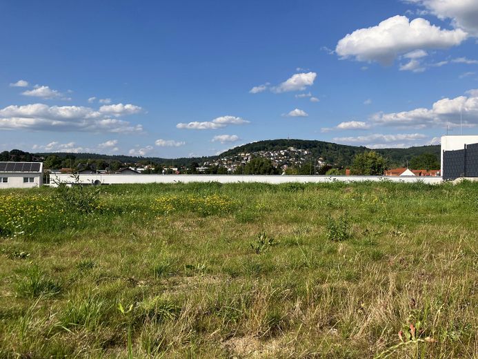 Grundstück