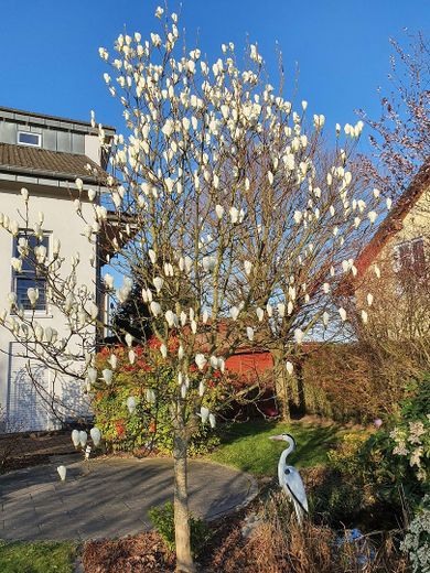 Modernes Architektenhaus mit Fernblick – Foto 7