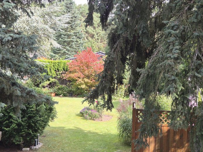 Blick in den Garten