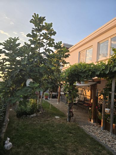Einfamilienhaus in traumhafter Lage mit Panoramablick auf Bodensee und Schweizer Berglandschaft – Terrasse und Garten 2
