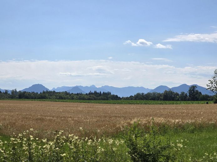 Umgebung
