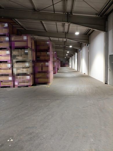 Kalthalle 7.120 m² im Gewerbepark Hunderdorf Halle 4-8 - zur Miete – फोटो 7