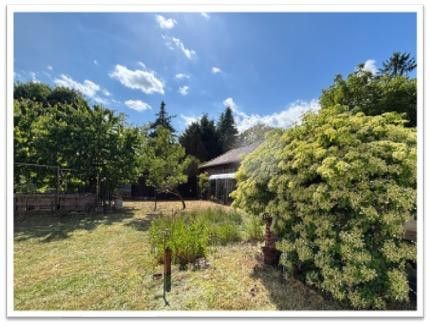 Blick in den Garten vom Haus 