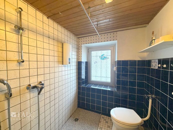 Handwerkerobjekt mit Dachterrasse und ehemaliger Werkstatt – Badezimmer