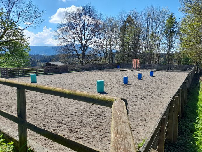 Traumimmobilie für Pferdeliebhaber im Allgäu mit Reithalle und einmaligem Alpenblick – Reitplatz